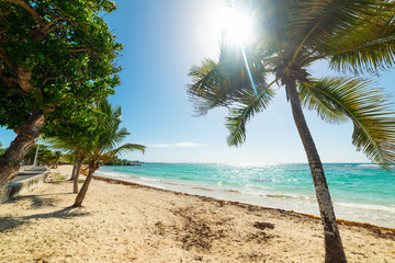Raisins Clairs beach in Guadeloupe