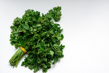 Bunch of parsley bandaged elastic on a white background. Concept - Herbs for Cooking. Copy space
