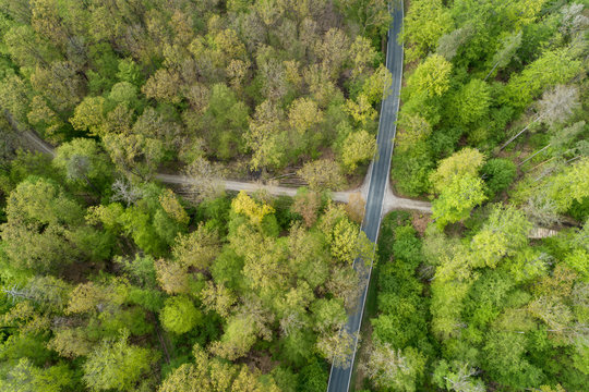Aerial view of road through forest, springtime, Steigerwald, Franconia, Bavaria, Germany