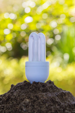 baco bulb consumption on earth