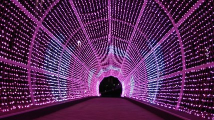 Multicolored Light Illuminated Tunnel footpath at night