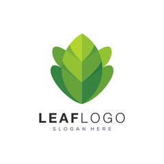 leaf logo design vector illustration