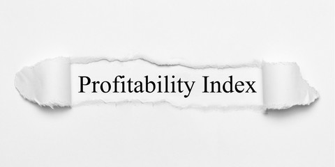 Profitability Index 