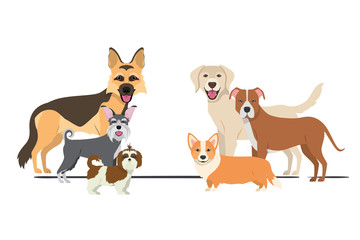 Naklejka premium set of adorable dogs on white background