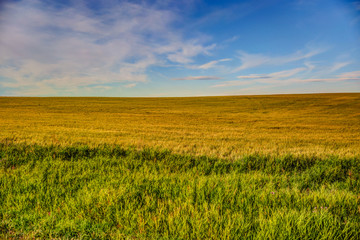 Farmland landscapes in the Alberta countryside