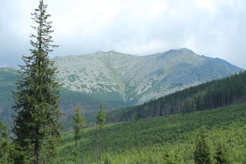 landscape in the mountains