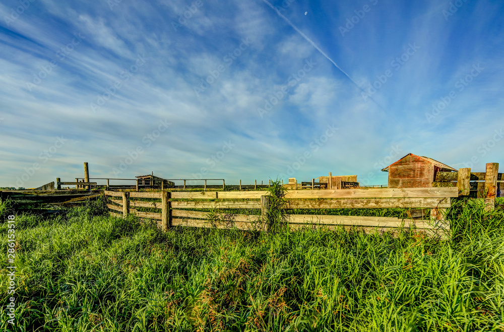 Wall mural farmland landscapes in the alberta countryside