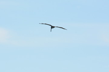 Obraz premium A Day at the Beach, St. Augustine, Fl.