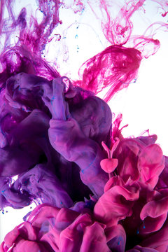 Close up of violet and pink ink dissolving in water