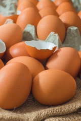 Eggs that are fresh, clean, and appetizing, high in protein, suitable for all ages, for good health.