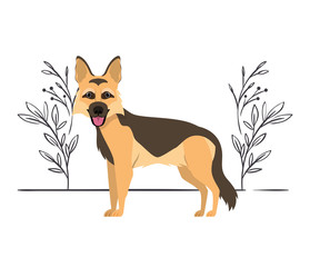 cute pastor aleman dog on white background