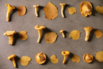 Forest chanterelle mushrooms, raw uncooked, with yellow autumn leaves in row over brown texture background. Flat lay, space