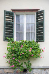 Fototapeta na wymiar Vintage window with flowers in an Alpine House