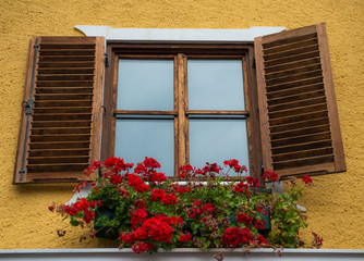 Vintage window with flowers in an Alpine House