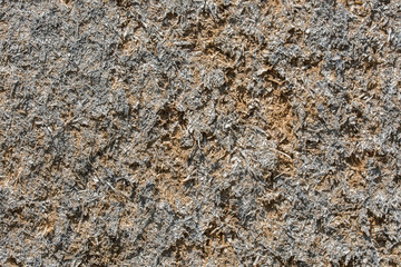 Wooden background, plywood texture,compressed sawdust