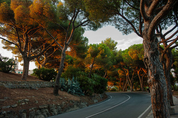 Fototapety na wymiar - Fototapeta24.pl