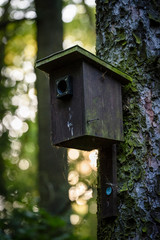 Wooden birdhouse hanging on a tree background