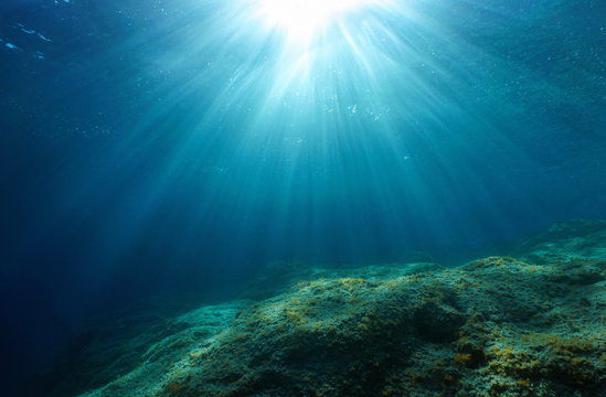 Natural sunlight and rocky seabed underwater in the Mediterranean sea, Cote d'Azur, France © dam