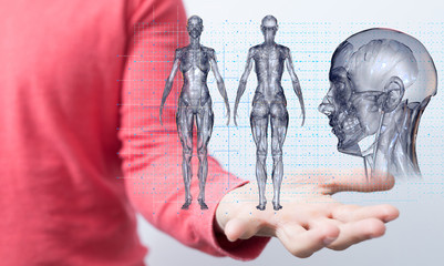 interface as medical network concept