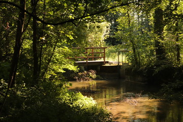 Fototapeta na wymiar Brücke im Wald