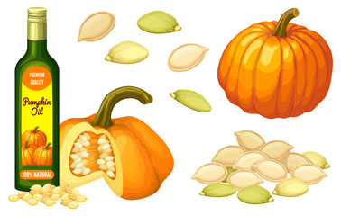 Set pumpkin oil, seeds and leaf. Isolated vector illustration on white background.