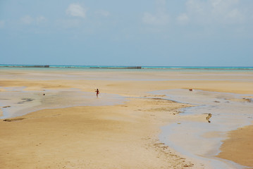 Praia em Alagoas, Nordeste do Brasil.