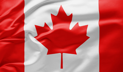 Waving national flag of Canada