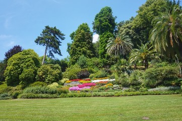 Different excotic plants in the botanicl garden Villa Carlotta