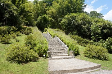 Different excotic plants in the botanicl garden Villa Carlotta