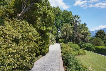 Fototapeta na wymiar Walkway in the tropical garden.