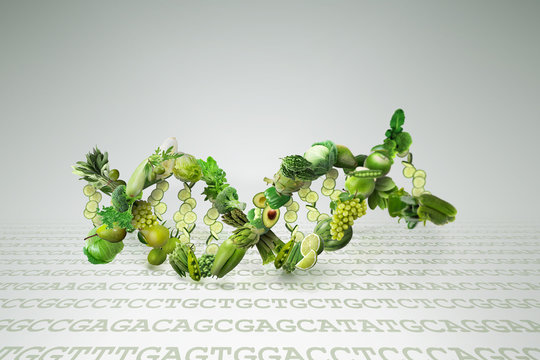 Nutrition Genetics And Nutrigenomics Science Concept Of DNA Helix Made Of Vegetables Refers To Genome Editing