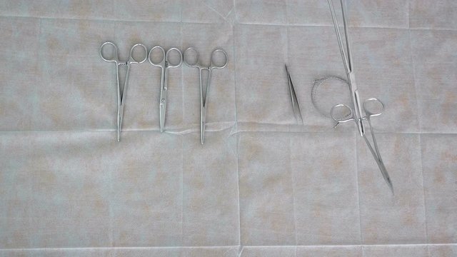 close-up of assistant&rsquo;s hands serving a surgical instrument a surgical instrument spread out on a table a surgical operation