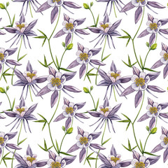 Double Columbine flowers. Seamless pattern. Collection of hand drawn flowers and plants. Watercolor set of flowers and leaves, hand drawn floral illustration isolated on a white background. Botanical