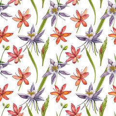 Kafir Lilies flowers. Seamless patterns. Collection of hand drawn flowers and plants. Botany. Set. Vintage flowers. Watercolor set of flowers and leaves, hand drawn floral illustration isolated on a