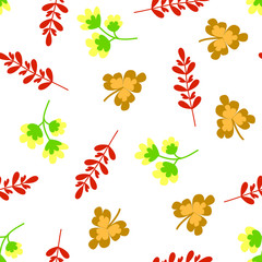 Herbs, flowers, leaves-delicate, autumn seamless pattern on white background.Vector illustration for packaging and background design