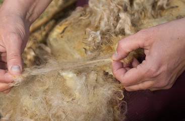 the hands that spin wool fleece by hand