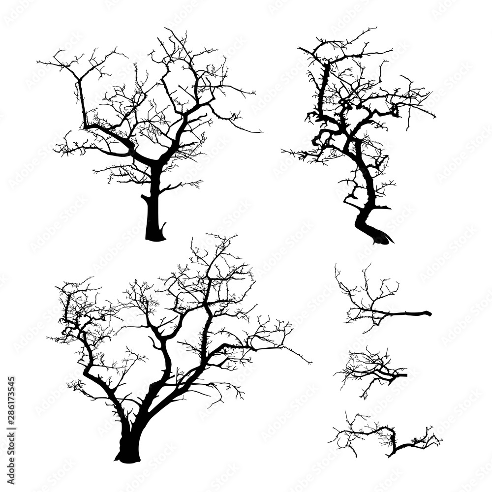 Wall mural set of black silhouettes of terrible trees vector illustration isolated on white background