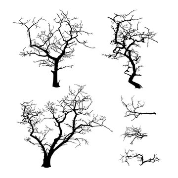 Set of black silhouettes of terrible trees vector illustration isolated on white background