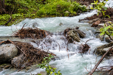 Mountain river flowing through the green forest. Stream in the wood