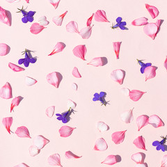 Delicate pink solid background with geranium petals and purple l