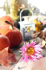 Pumpkins, autumn leaves, decorative lantern with a candle, a flower on a wooden surface on a window background, celebration of Halloween, Thanksgiving, autumn season