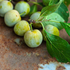 plum (sweet fruits, new harvest, vitamins). top food background. copy space