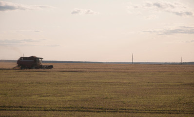 Combine-harvester collecting wheat grain. The theme is agriculture.