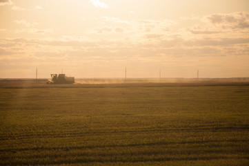 Combine-harvester collecting wheat grain. The theme is agriculture.