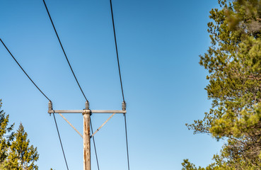 Close up photo of Power supply line with three wire poles, sunny day, pine tree forest, North Sweden, nearby to Umea city