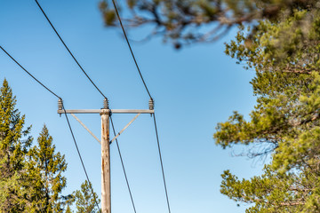 Close up photo of Power supply line with three wire poles, sunny day, pine tree forest, North...