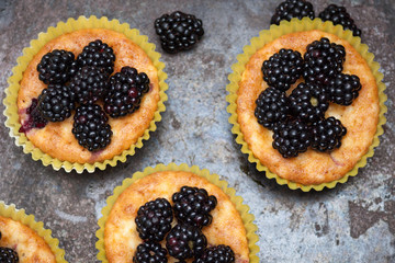Homemade cupcakes or muffins with berries blackberries on bark background. Fresh berries and sweet pastries. Top view, flat lay.