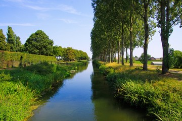 Fototapeta na wymiar View on typical dutch endless straight waterway canal lined with green grass and poplar trees in countryside - Netherlands, Limburg between Roermond and Venlo
