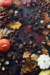 Obraz na płótnie Canvas Autumn background with decorative pumpkin, acorns, nuts and autumn leaves on dark stone table
