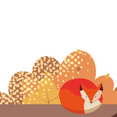 happy autumn season flat design